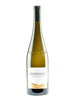 Picpoul de Pinet Haerentia